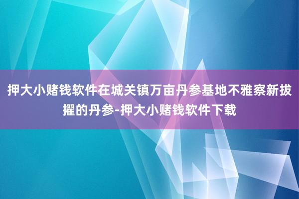 押大小赌钱软件在城关镇万亩丹参基地不雅察新拔擢的丹参-押大小赌钱软件下载