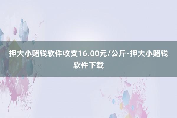 押大小赌钱软件收支16.00元/公斤-押大小赌钱软件下载