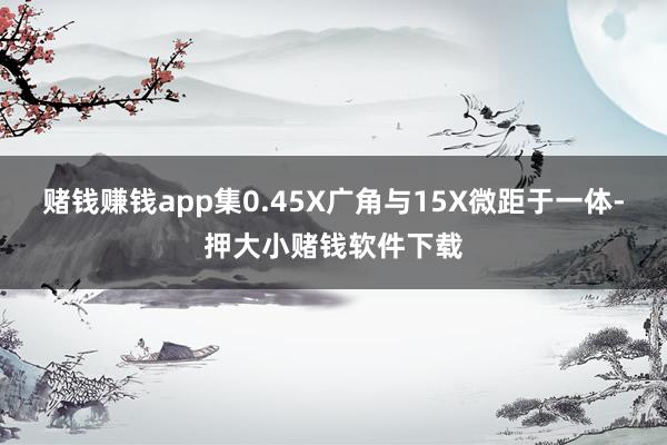 赌钱赚钱app集0.45X广角与15X微距于一体-押大小赌钱软件下载