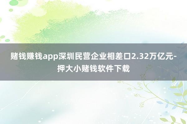 赌钱赚钱app深圳民营企业相差口2.32万亿元-押大小赌钱软件下载