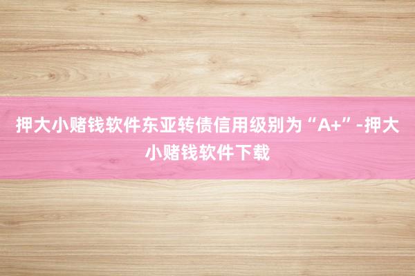 押大小赌钱软件东亚转债信用级别为“A+”-押大小赌钱软件下载