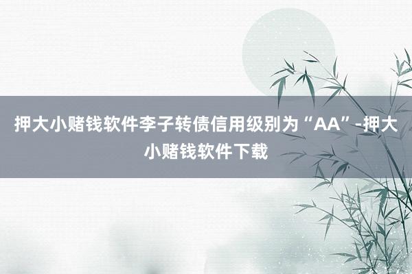 押大小赌钱软件李子转债信用级别为“AA”-押大小赌钱软件下载