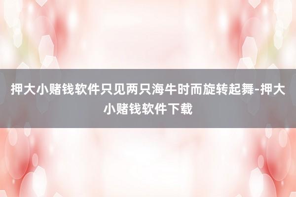 押大小赌钱软件只见两只海牛时而旋转起舞-押大小赌钱软件下载