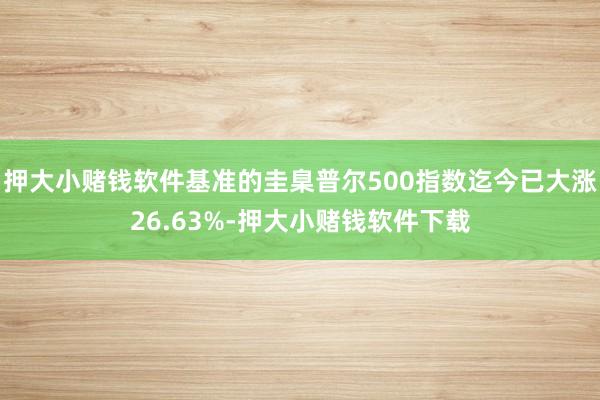 押大小赌钱软件基准的圭臬普尔500指数迄今已大涨26.63%-押大小赌钱软件下载