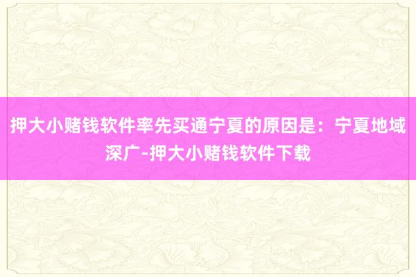 押大小赌钱软件率先买通宁夏的原因是:宁夏地域深广-押大小赌钱软件下载