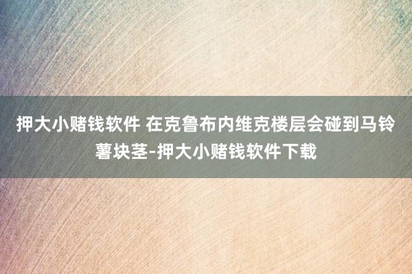押大小赌钱软件 在克鲁布内维克楼层会碰到马铃薯块茎-押大小赌钱软件下载