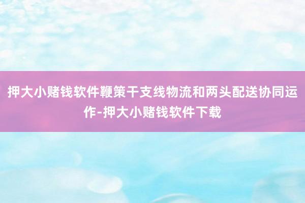 押大小赌钱软件鞭策干支线物流和两头配送协同运作-押大小赌钱软件下载